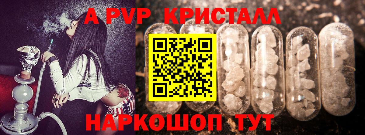 Сосновый Бор  A PVP  APVP СК КРИС  Вход с VPN  Альфа ПВП СК КРИС 