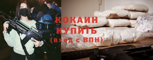 гашик Алексин