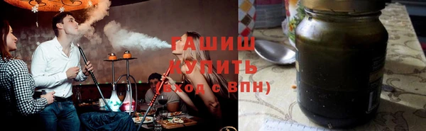 гашик Алексин