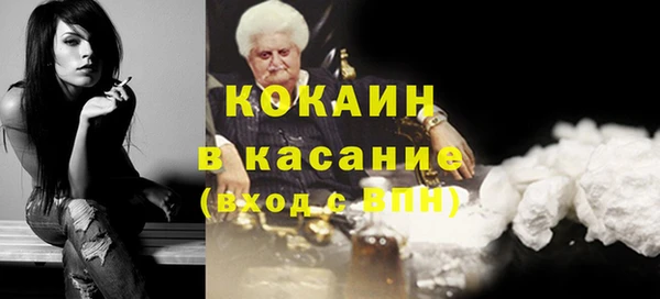 гашик Алексин
