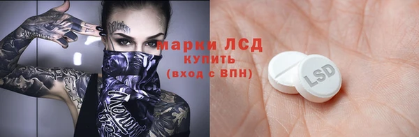 гашик Алексин