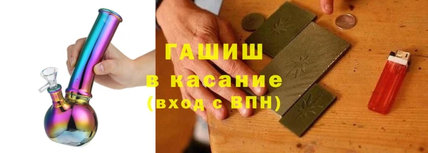 гашик Алексин