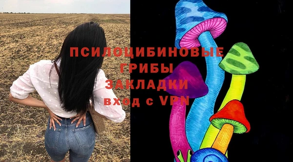гашик Алексин
