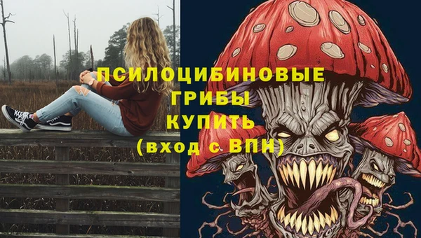 гашик Алексин