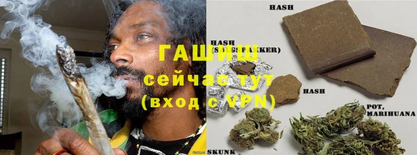 гашик Алексин