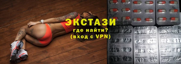 гашик Алексин