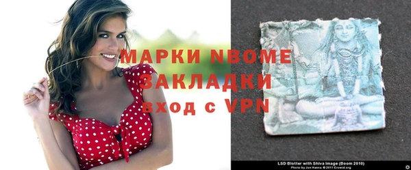 гашик Алексин