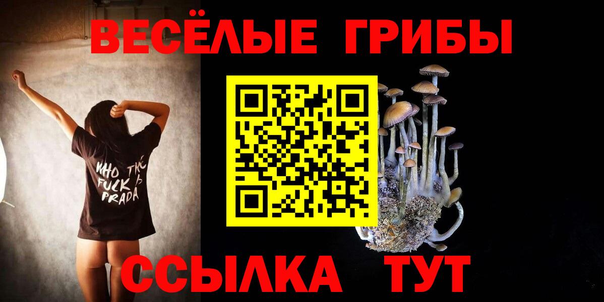Псилоцибиновые грибы MAGIC MUSHROOMS Сосновый Бор