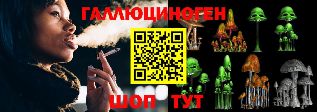 Сосновый Бор  Псилоцибиновые грибы GOLDEN TEACHER  Псилоцибиновые грибы Psilocybe  Вход с VPN 